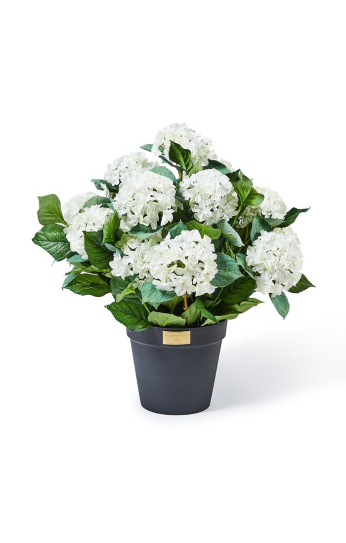 white hydrangea urn filler 29 white hydrangea urn filler 29