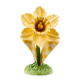 daffodil trophy 11 daffodil trophy 11