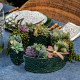 Berry & Thread Petite Parterre Garden Half Circle Vase Set/2 - Basil 9 Berry & Thread Petite Parterre Garden Half Circle Vase Set/2 - Basil 9