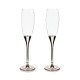 celebrate rosy toasting flutes, set of 2 61 celebrate rosy toasting flutes, set of 2 61