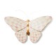 rosy check wall decor butterfly 58 rosy check wall decor butterfly 58