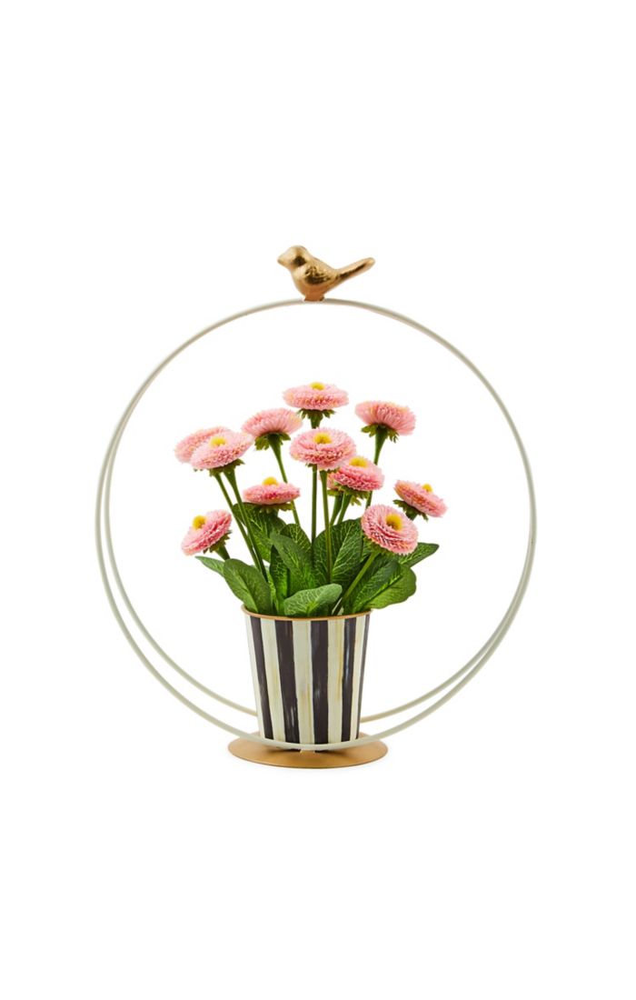 song bird daisy arrangement 25 song bird daisy arrangement 25