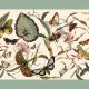 TABLE RUNNER AQUA BUTTERFLY 48cm x 280cm / 189in x 1102in 1 TABLE RUNNER AQUA BUTTERFLY 48cm x 280cm / 189in x 1102in 1