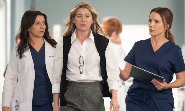 Grey’s Anatomy finale: Sophia Bush’s surprises spark buzz Grey’s Anatomy finale: Sophia Bush’s surprises spark buzz