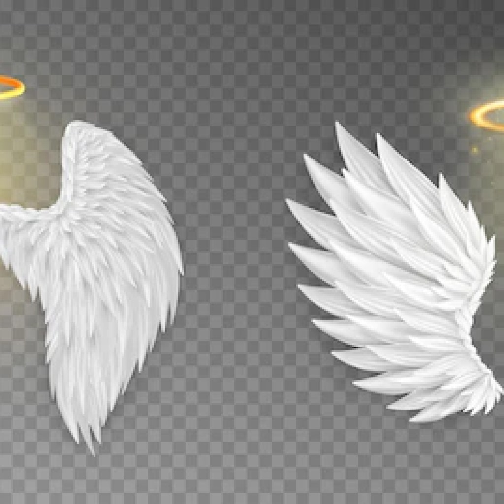 Photo deux ailes d’ange avec la lettre » a » au milieu Photo deux ailes d’ange avec la lettre » a » au milieu