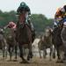 Preakness Results: Napoleon Solo Wins, Iron Honor Places, Chip Honcho Shows Preakness Results: Napoleon Solo Wins, Iron Honor Places, Chip Honcho Shows