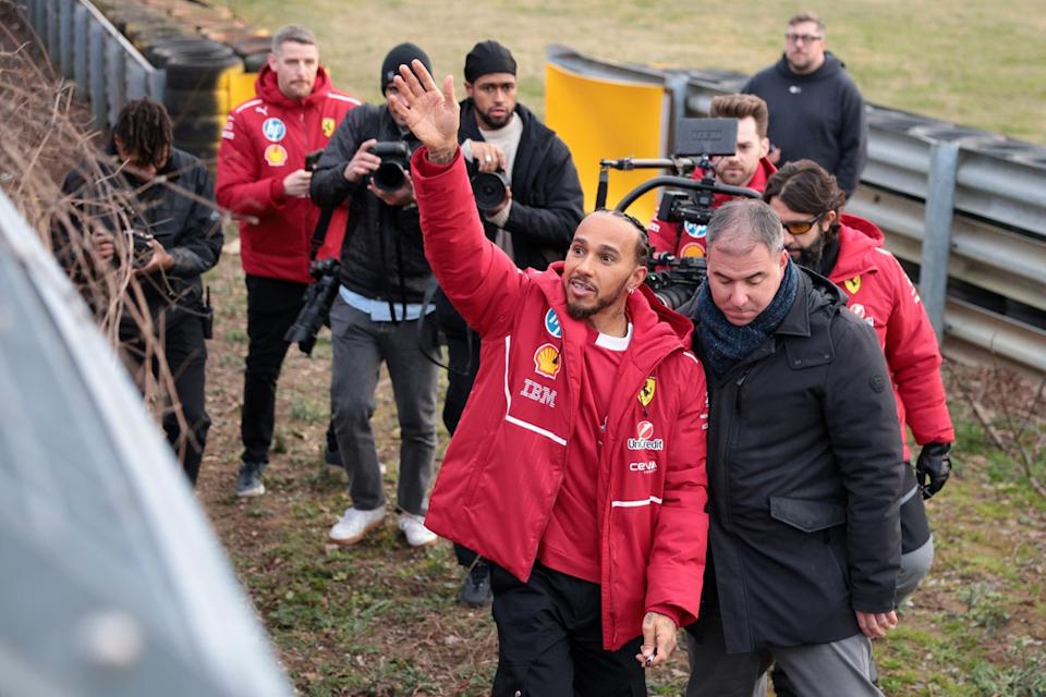 Ferrari followers labelled ‘idiots’ for slicing down tree to observe Lewis Hamilton Ferrari followers labelled ‘idiots’ for slicing down tree to observe Lewis Hamilton