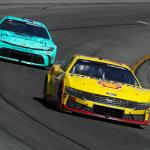 Who’s within the 2024 NASCAR Championship Race? Two of 4 drivers locked in. Who’s within the 2024 NASCAR Championship Race? Two of 4 drivers locked in.