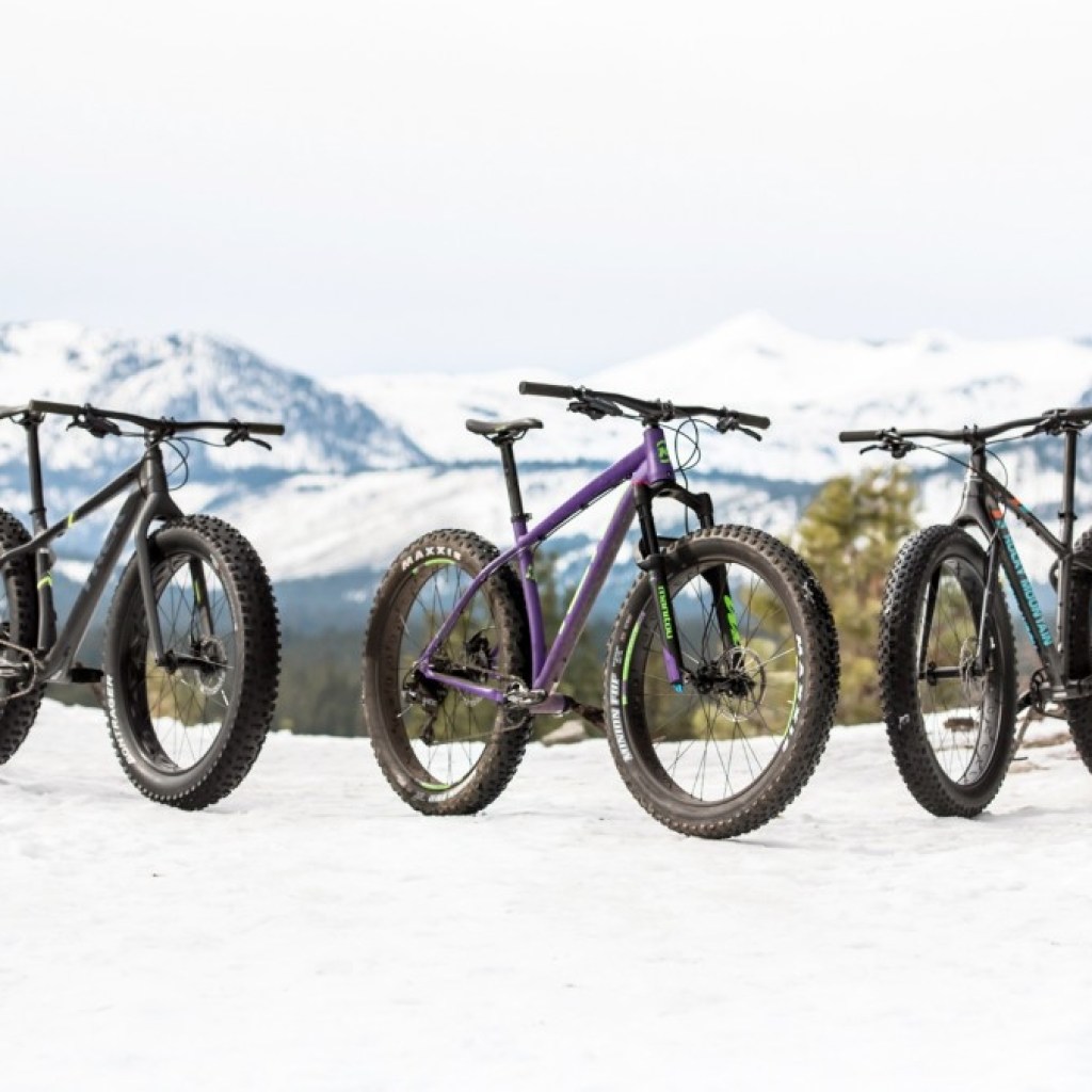 Best 5 Mountain Bike Tires For Desert Riding - 2023 Review Best 5 Mountain Bike Tires For Desert Riding - 2023 Review