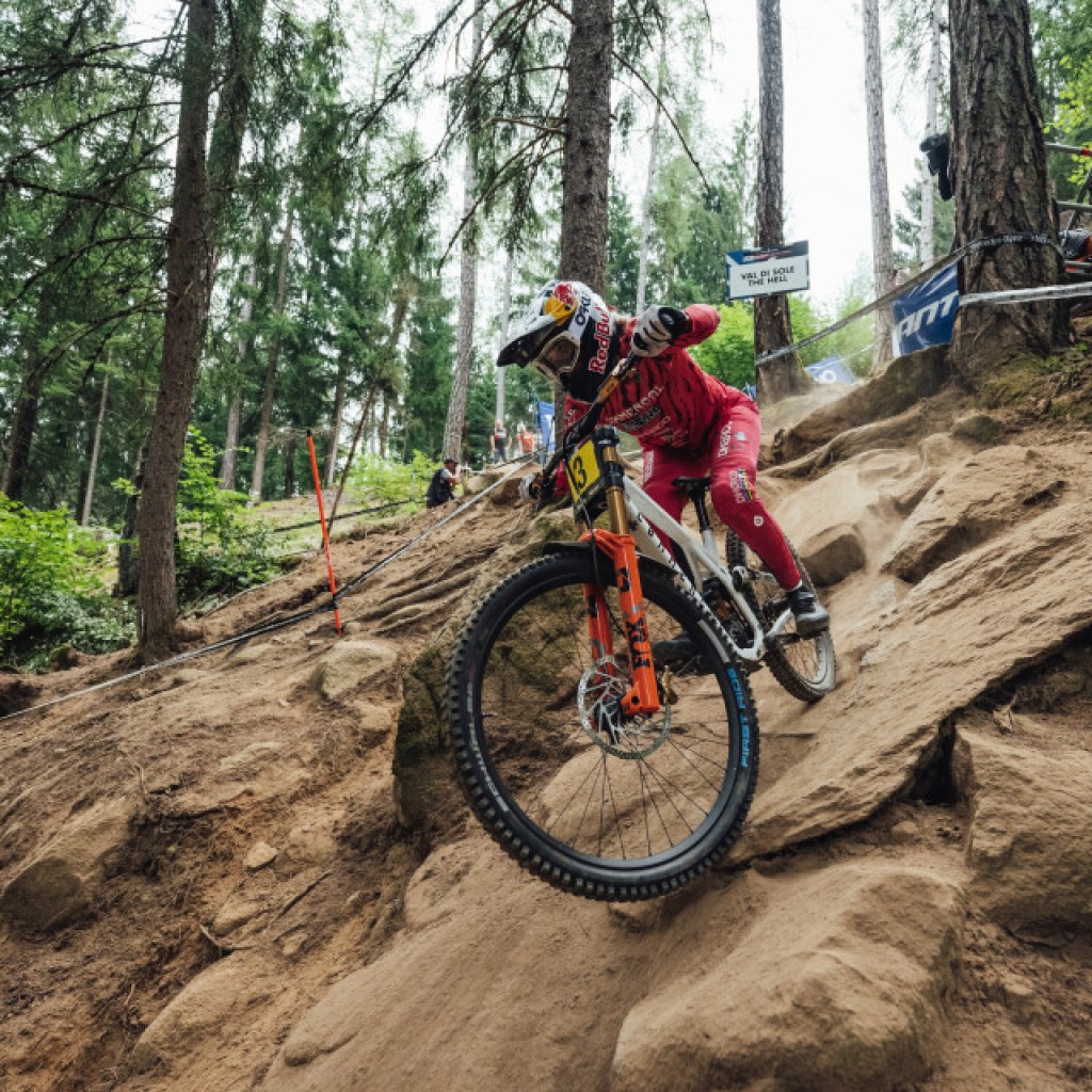 Mountain Biking Mountain Biking