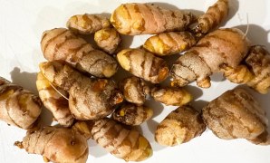how to store turmeric root how to store turmeric root