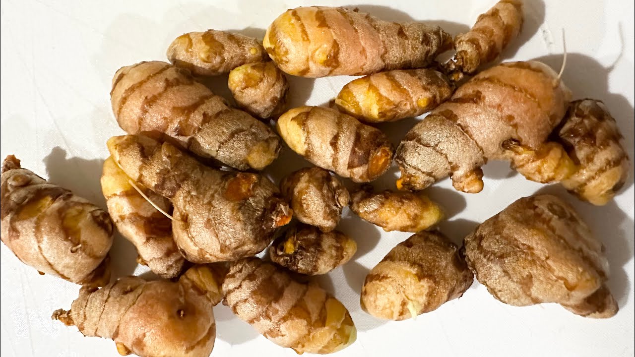 how to store turmeric root how to store turmeric root