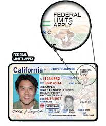 Can Illegal Immigrants Get a Driver’s License in California? Can Illegal Immigrants Get a Driver’s License in California?