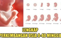 2 Bulan Berapa Minggu? Yuk Hitung Bersama-sama! 2 Bulan Berapa Minggu? Yuk Hitung Bersama-sama!