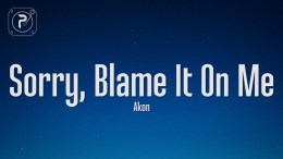 Akon – Sorry, Blame It On Me (Lyrics) Akon – Sorry, Blame It On Me (Lyrics)