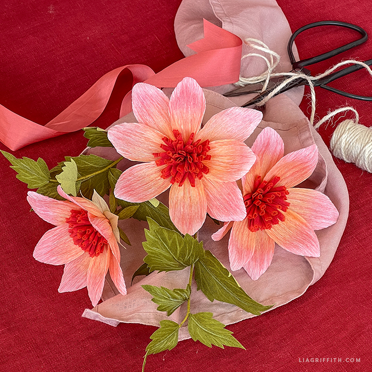 Dahlia tangerine crepe paper Dahlia tangerine crepe paper