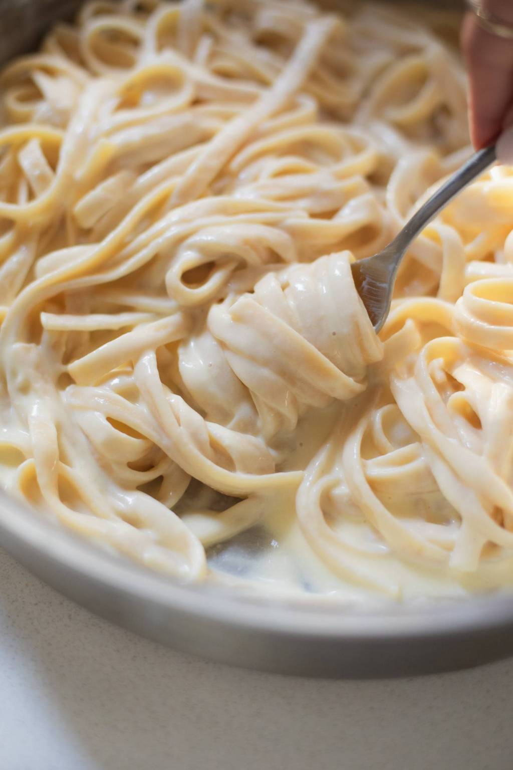 Homemade Alfredo Sauce Recipe: A Pinch of Yum Homemade Alfredo Sauce Recipe: A Pinch of Yum