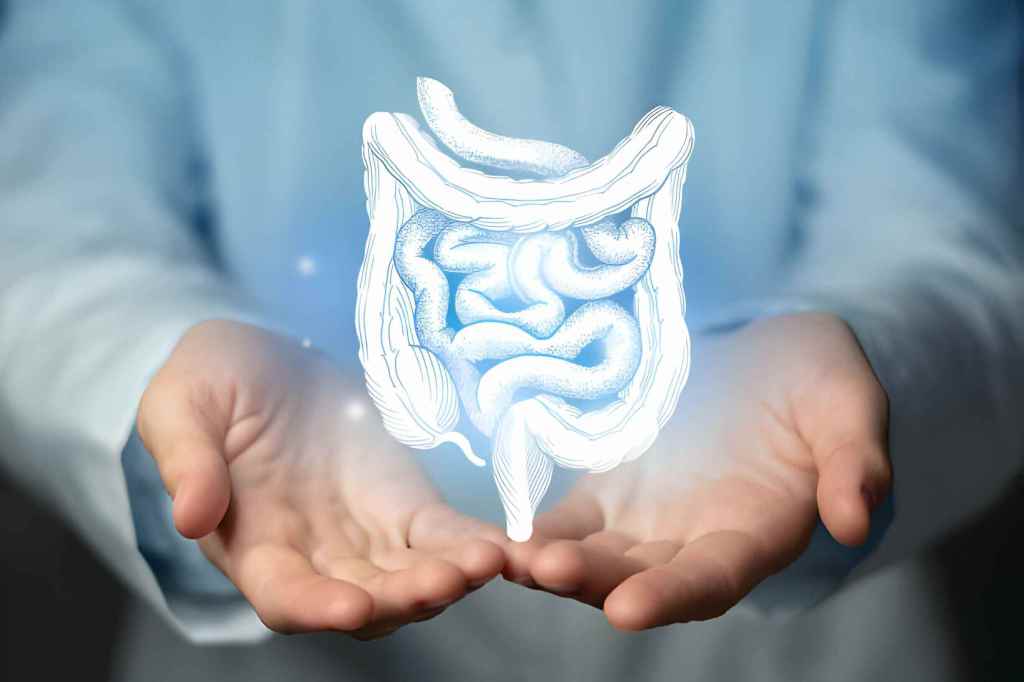 Exploring the impact of gut health Exploring the impact of gut health