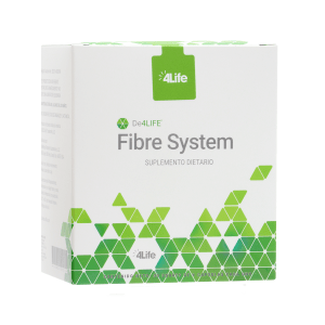 Fibre System Fibre System
