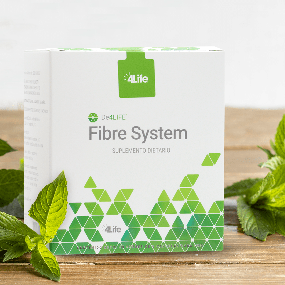 Fibre System