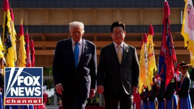 Trump Trade Deal Shocks Media: South Korea Confirms Breakthrough Trump Trade Deal Shocks Media: South Korea Confirms Breakthrough