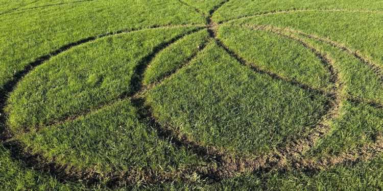 Unruly Rotorua trail bikers clash with parents at rugby fields Unruly Rotorua trail bikers clash with parents at rugby fields