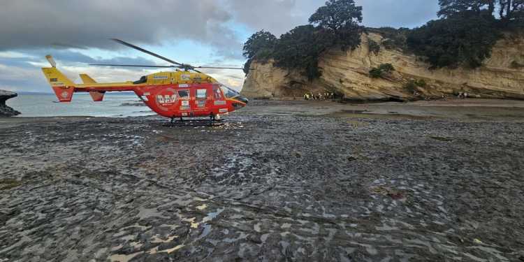 Woman critically injured after falling 20m on to rocks at East Auckland beach Woman critically injured after falling 20m on to rocks at East Auckland beach