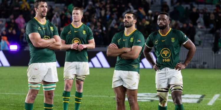 All Blacks prepare for revamped Springboks after Rassie Erasmus gamble – Opinion All Blacks prepare for revamped Springboks after Rassie Erasmus gamble – Opinion