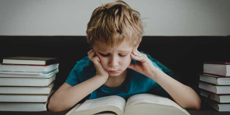 How much homework should Kiwi primary school students be getting and what’s the point of homework? How much homework should Kiwi primary school students be getting and what’s the point of homework?