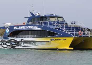 Whale Watch Kaikōura fined 5k for safety breaches after crew injuries Whale Watch Kaikōura fined 5k for safety breaches after crew injuries