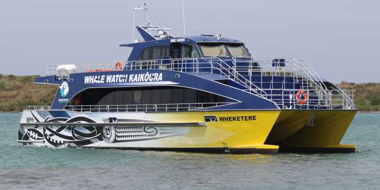 Whale Watch Kaikōura fined 5k for safety breaches after crew injuries Whale Watch Kaikōura fined 5k for safety breaches after crew injuries