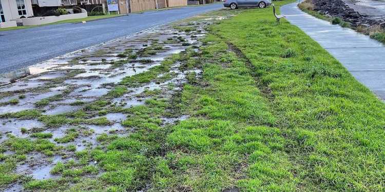 Tauranga Council Approves Harbour Drive Safety Upgrade Tauranga Council Approves Harbour Drive Safety Upgrade