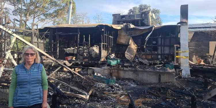 Pakowhai Rd fire, Hastings: Porcelain bust of late husband found among the ruins Pakowhai Rd fire, Hastings: Porcelain bust of late husband found among the ruins