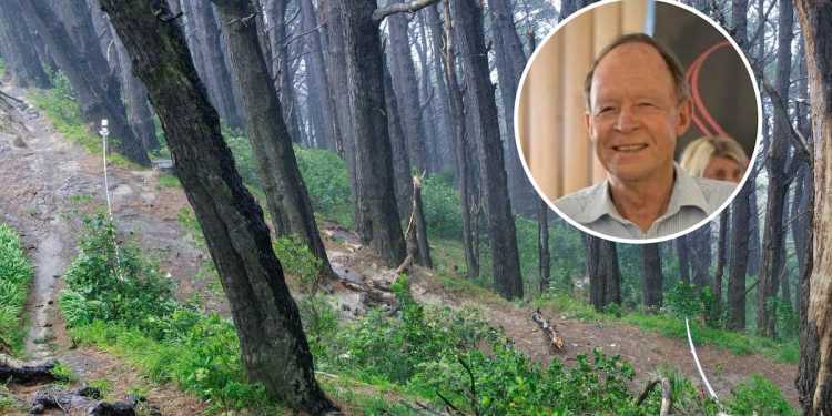 Wellington GP Richard Tyler identified in Mt Victoria accident Wellington GP Richard Tyler identified in Mt Victoria accident