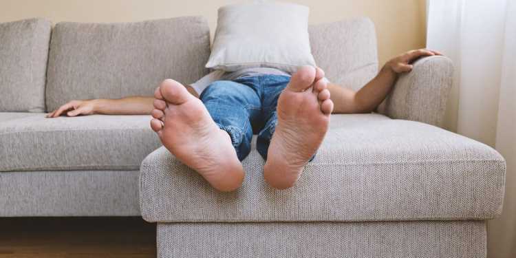 Auckland landlord fined for breaching tenant rights Auckland landlord fined for breaching tenant rights