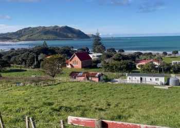 The Great New Zealand Road Trip: Whale Rider made this small coastal village famous – locals weren’t ready to be swamped by tourists The Great New Zealand Road Trip: Whale Rider made this small coastal village famous – locals weren’t ready to be swamped by tourists