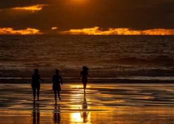 North Island to Experience High Temperatures and Showers North Island to Experience High Temperatures and Showers