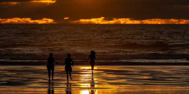 Forest Fires Prompt Evacuations on North Island
High Temperatures Expected to Continue Forest Fires Prompt Evacuations on North Island
High Temperatures Expected to Continue