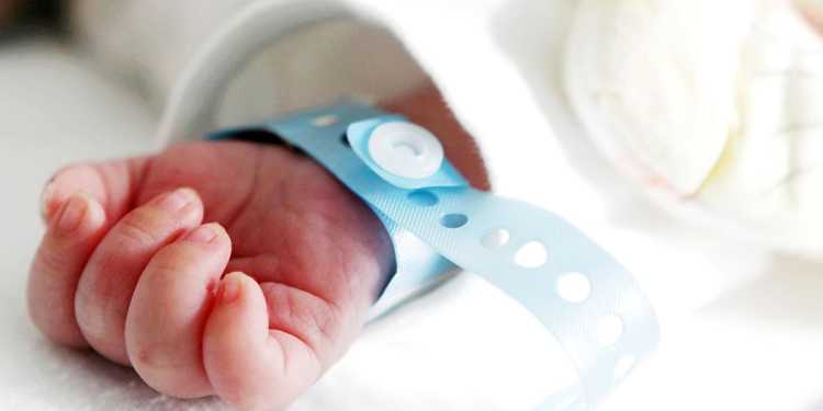 Toddler hospitalized after pool drowning in Wairarapa Toddler hospitalized after pool drowning in Wairarapa