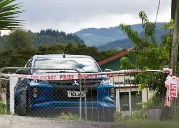 Northland Woman Killed in Kaihu Dog Attack Identified Northland Woman Killed in Kaihu Dog Attack Identified