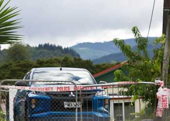 Runner Bitten by Dogs Before Fatal Attack in Kaihu Runner Bitten by Dogs Before Fatal Attack in Kaihu