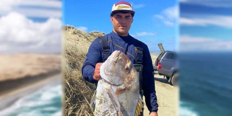 Shark takes 9kg snapper from young fisherman in Northland Shark takes 9kg snapper from young fisherman in Northland