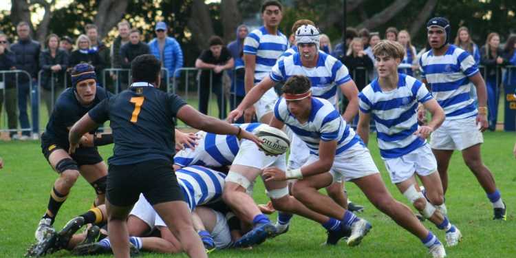 First XV wrap: St Kentigern claim the lion’s share against Grammar, Nelson surrender Trustbank Cup First XV wrap: St Kentigern claim the lion’s share against Grammar, Nelson surrender Trustbank Cup