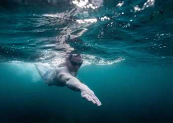 NZ Swimmer Jono Ridler to Swim 1609km for Ocean Conservation NZ Swimmer Jono Ridler to Swim 1609km for Ocean Conservation