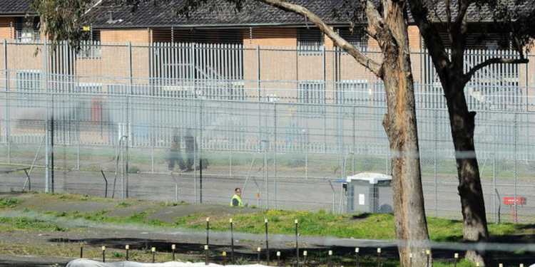 NZ Woman Teresa Rangi Deported from Australia After Three Warnings NZ Woman Teresa Rangi Deported from Australia After Three Warnings