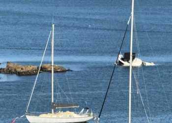 Three people and two dogs rescued from sinking boat in Opito Bay Three people and two dogs rescued from sinking boat in Opito Bay