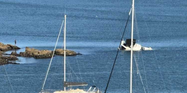 Three people and two dogs rescued from sinking boat in Opito Bay Three people and two dogs rescued from sinking boat in Opito Bay