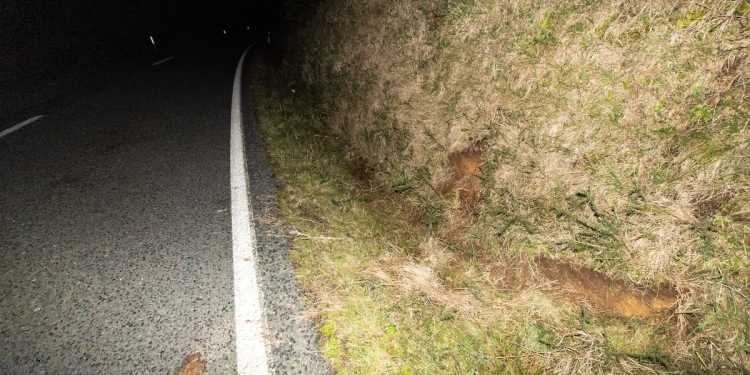 Tom Phillips: Footage Shows Shooting Scene Tom Phillips: Footage Shows Shooting Scene