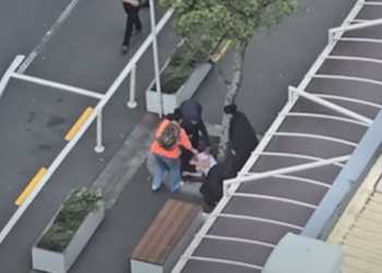 Manukau Teen Brawl Captured on Video Manukau Teen Brawl Captured on Video