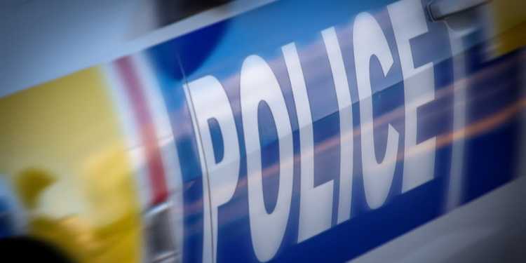 Police Investigate Assault on Woman at Hamilton Home Police Investigate Assault on Woman at Hamilton Home